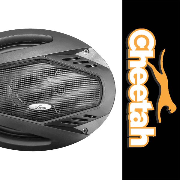 بلندگو بیضی چیتا مدل 6971