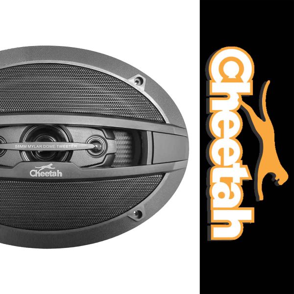 بلندگو بیضی چیتا مدل 6972