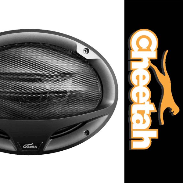 بلندگو بیضی چیتا مدل 6974