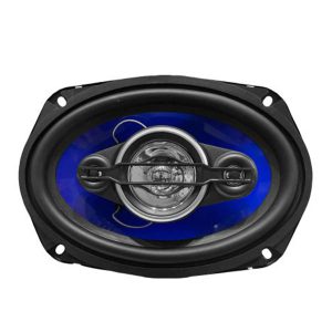 ویژگیهای برجسته محصولات کاروزریا