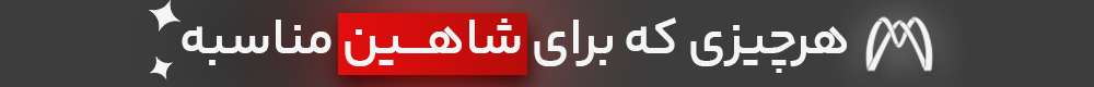 سیستم صوتی شاهین